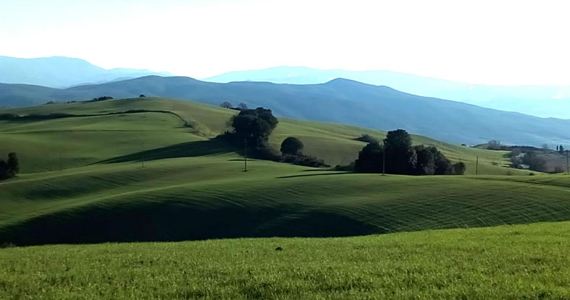 La Pecora Verde San Gimignano Ngoại thất bức ảnh