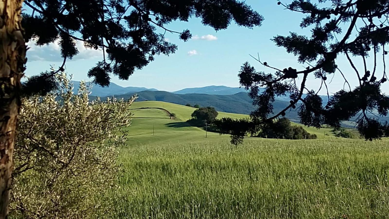 La Pecora Verde San Gimignano Ngoại thất bức ảnh