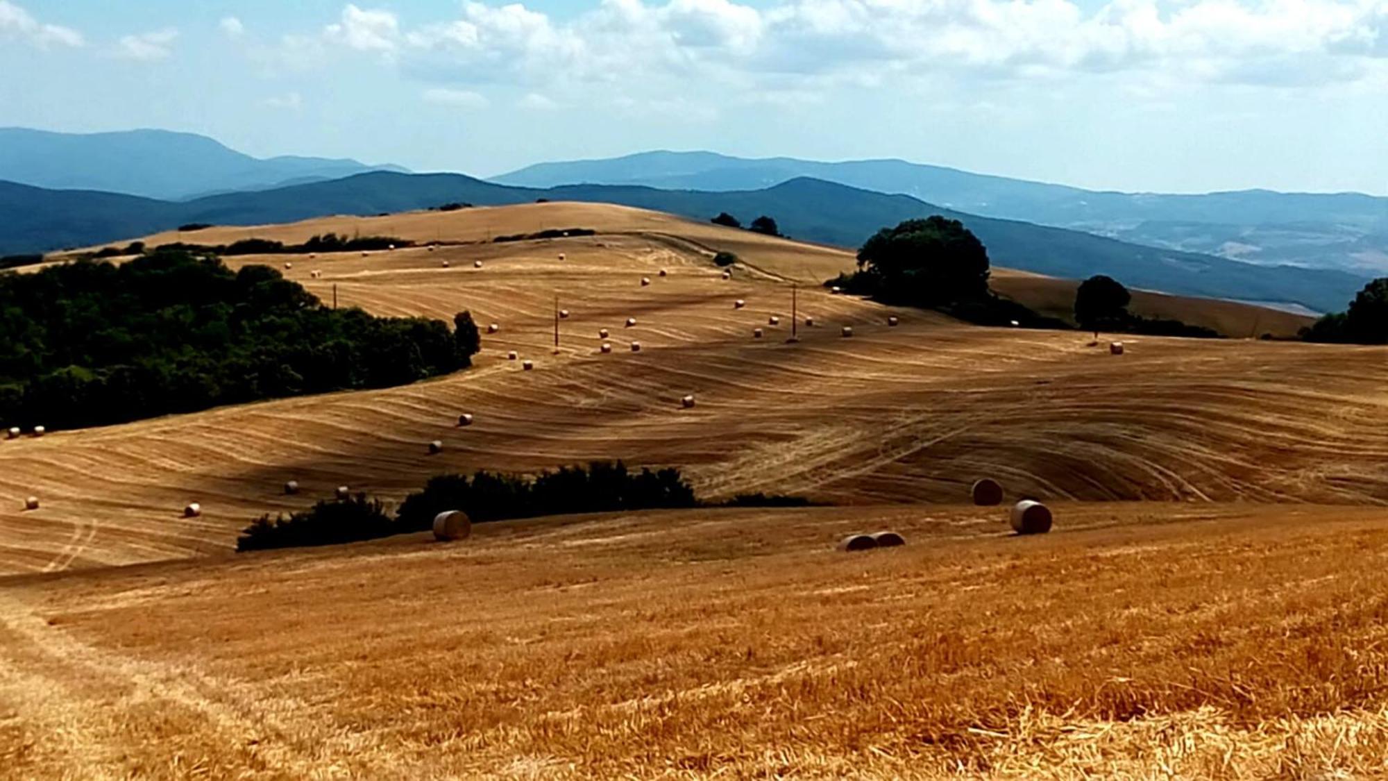 La Pecora Verde San Gimignano Ngoại thất bức ảnh
