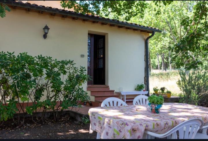 La Pecora Verde San Gimignano Ngoại thất bức ảnh