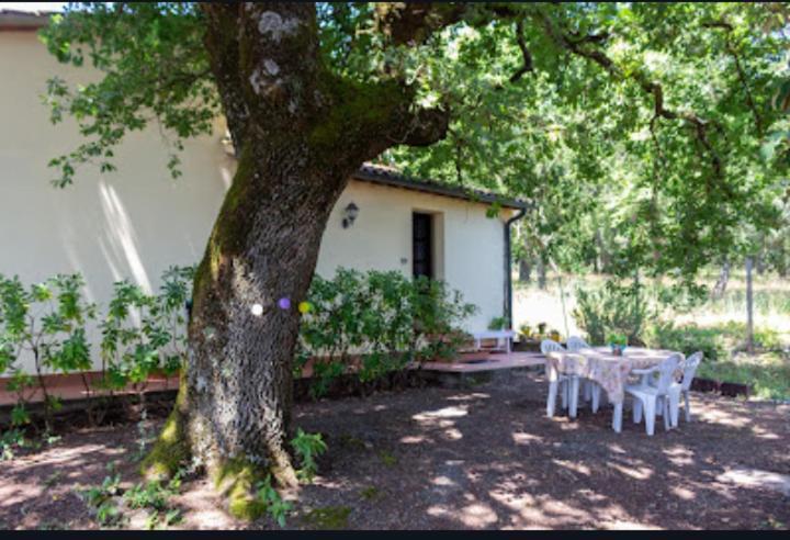 La Pecora Verde San Gimignano Ngoại thất bức ảnh
